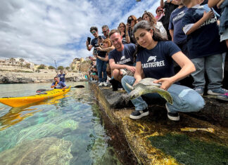 Giornata mondiale delle tartarughe: domenica 25 maggio Plastic Free libera quattro esemplari in mare a Castro in Salento