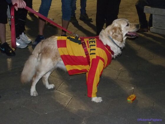 Lecce esplode di gioiA. La notte è giallorossa in piazza Mazzini. In migliaia in strada, festa davanti alla fontana: fuochi d’artificio e fumogeni - Corriere Salentino