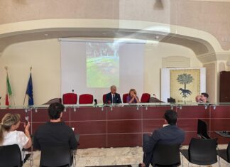 Lupiae, Pagliaro promette denunce e contrattacca: “Accuse infondate e diffamatorie. Assunzioni necessarie a coprire il turn over”