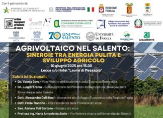 “Agrivoltaico nel Salento: sinergie tra energia pulita e sviluppo agricolo”. Appuntamento il 10 giugno, alle 15 (Hotel Leone di Messapia) a Lecce