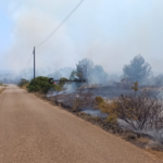 Incendio tra Torre Pali e Torre Vado: case evacuate - Corriere Salentino