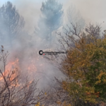 Incendio tra Torre Pali e Torre Vado: case evacuate - Corriere Salentino