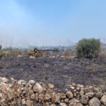 Incendio tra Torre Pali e Torre Vado: case evacuate - Corriere Salentino