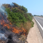 Incendio tra Torre Pali e Torre Vado: case evacuate - Corriere Salentino