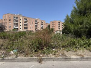 Allarme verde pubblico, in commissione controllo la richiesta di interventi urgenti. Ufficio Ambiente con poco personale: Agave, mani legate senza consegna - Corriere Salentino