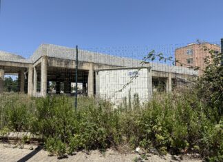 Allarme verde pubblico, in commissione controllo la richiesta di interventi urgenti. Ufficio Ambiente con poco personale: Agave, mani legate senza consegna