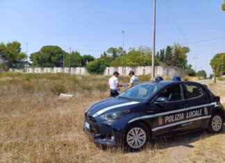 Incendi boschivi, giro di vite del Comune: multe salate. Lecce seconda in Italia per incendi boschivi. Capoccia: “Inscindibile”