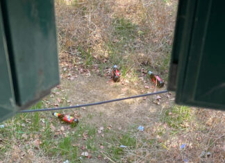 Lupiae, sit-in per gli interinali. Intanto, scatta l’inchiesta interna per i lavoratori che sorseggiavano birra. Intanto continua la lotta per le nomine