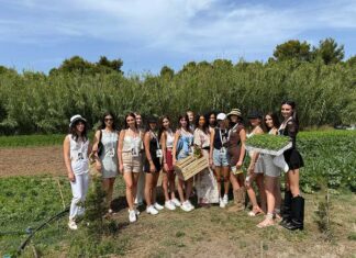 A Miss Mondo 2025 assegnate Miss Mondo Beach e Miss Mondo Sport, le prime due fasce speciali del concorso