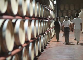 Conti Zecca: l’anima del Salento in un calice di vino