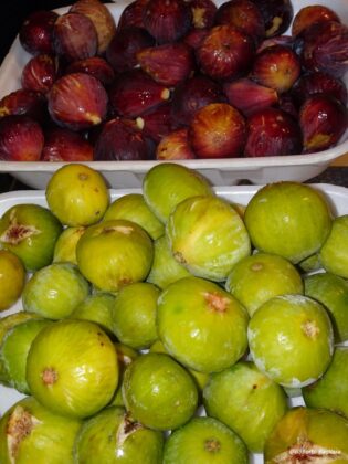 Gruppi di Acquisto Solidali alle Knos - Corriere Salentino