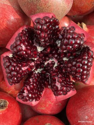 Gruppi di Acquisto Solidali alle Knos - Corriere Salentino