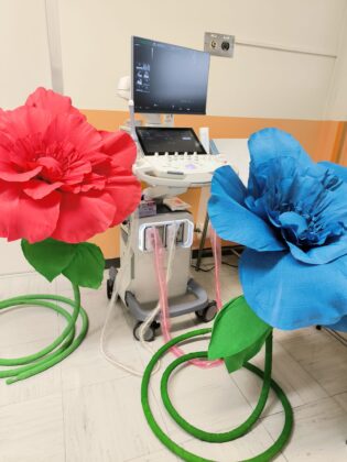 Ecografo di ultima generazione alla Medicina fetale del Fazzi donato da "Cuore e mani aperte" - Corriere Salentino