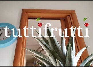 È uscito “Tutti Frutti”, il nuovo singolo del famoso menestrello P40