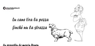 Home - Corriere Salentino