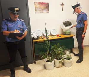 Semina il panico armato di coltelli, l'altro accoltella la moglie: arrestati. In manette anche un ladro - Corriere Salentino