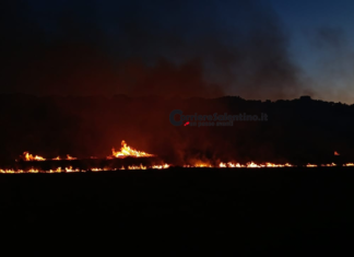 Incendi, in fumo 6941 ettari di vegetazione in Puglia nell’estate 2025