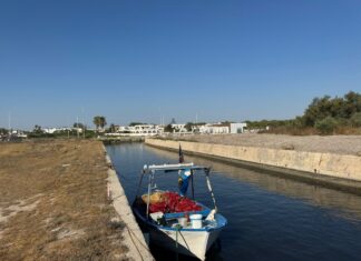 Scorrano replica a Rotundo sulla questione Darsena di San Cataldo: “Sinistra senza pudore. I problemi ce li hanno lasciati loro”
