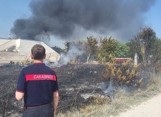 Due ettari di macchia mediterranea in fiamme a Punta Prosciutto