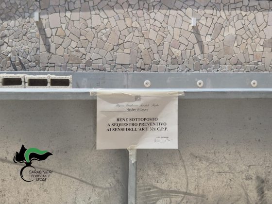 Piscina abusiva in area protetta: i Carabinieri Forestali individuano il cantiere grazie a un drone - Corriere Salentino