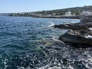 Un mare di meduse nel porto di Tricase: bagno impossibile in qualsiasi zona. È l’ennesima invasione sull’Adriatico, dopo Rimini e Riccione - Corriere Salentino