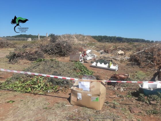 Droni ed elicotteri in azione: tre interventi dei Carabinieri Forestali contro reati ambientali nel Salento - Corriere Salentino