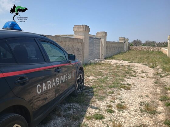 Droni ed elicotteri in azione: tre interventi dei Carabinieri Forestali contro reati ambientali nel Salento - Corriere Salentino