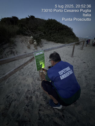 Ispettori ambientali al lavoro a Porto Cesareo - Corriere Salentino