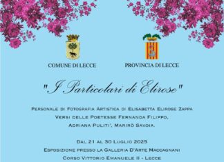 “I particolari di Elirose”