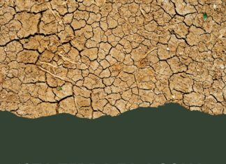 ‘Sta terra fa acqua. La crisi idrica tra emergenza e opportunità, venerdì a Nardò