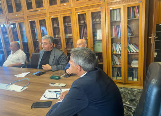 Grano in picchiata. Cia Puglia: “Si a un’intesa sul prezzo come per il latte”