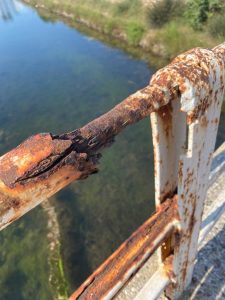 Porto Cesareo: “condizioni di degrado che compromettono la vivibilità” per la zona di Torre Chianca - Corriere Salentino