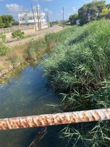 Porto Cesareo: “condizioni di degrado che compromettono la vivibilità” per la zona di Torre Chianca - Corriere Salentino