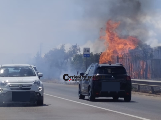 Incendio sulla 274, fiamme lambiscono i mezzi in transito: paura per gli automobilisti - Corriere Salentino