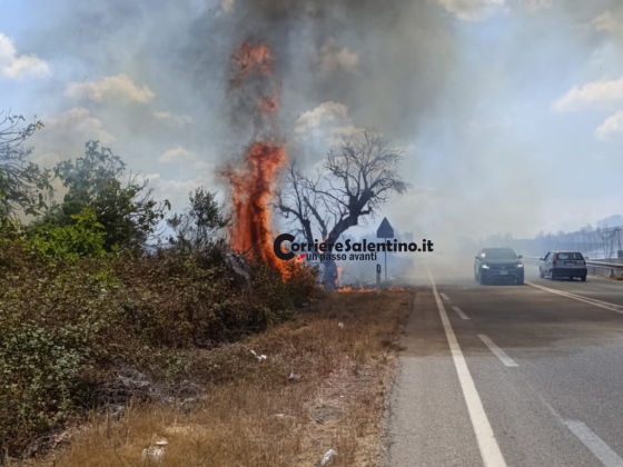 Incendio sulla 274, fiamme lambiscono i mezzi in transito: paura per gli automobilisti - Corriere Salentino
