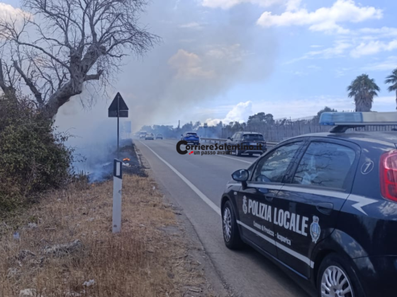 Incendio sulla 274, fiamme lambiscono i mezzi in transito: paura per gli automobilisti - Corriere Salentino