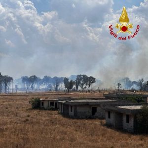 Salento in fiamme: bruciano ettari di terreni e pineta. Fuoco raggiunge il Campo Panareo - Corriere Salentino