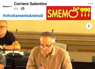 Sfruttamento degli animali in strada, il sarcasmo di Montinari: “Della Giorgia smemorato”