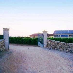 “Serata d’autore”, l’ex magistrato salentino presenterà il suo libro presso la vinicola Cicella - Corriere Salentino