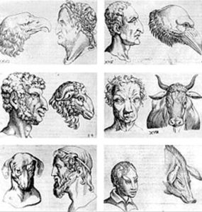 Salute e Benessere. Volti che Parlano scolpiti da emozioni. La Fisiognomica come Mappa dell’Essere. Il diario dinamico del nostro sentire - Corriere Salentino