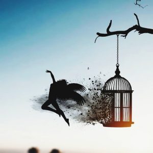 Il Paradosso della Libertà. “Liberi da” a “Liberi di”. . . - Corriere Salentino