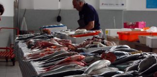 Home - Corriere Salentino