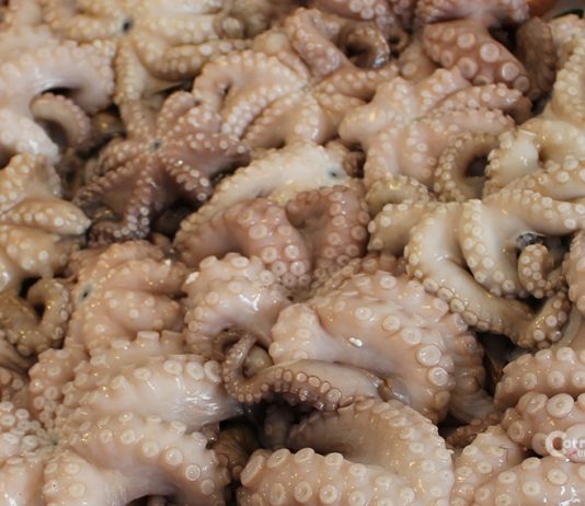 Eccellenze gastronomiche salentine: il polpo