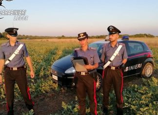 Nei campi per ore, senza bagni e giorni di riposo: le accuse non reggono, assolto dall’accusa di caporalato