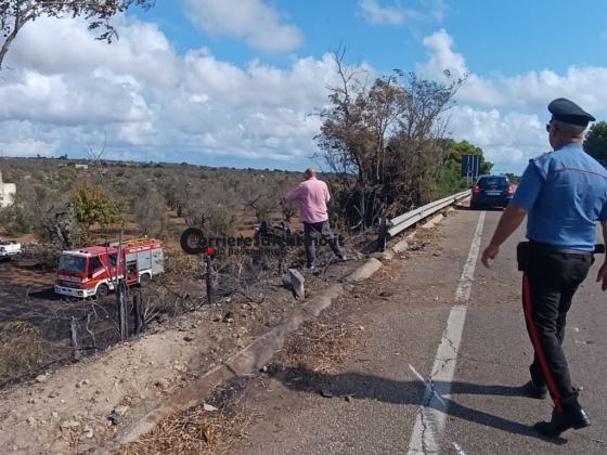 Autobotte finisce fuori strada dopo lo scoppio di una ruota: autista in codice rosso - Corriere Salentino