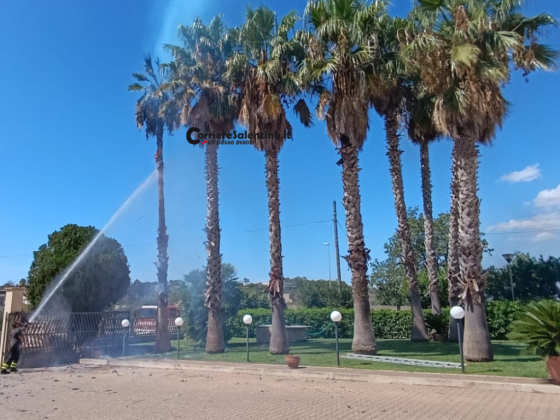 Incendio in una cava abbandonata sulla provinciale San Nicola–Acquarica: fiamme a ridosso delle abitazioni - Corriere Salentino