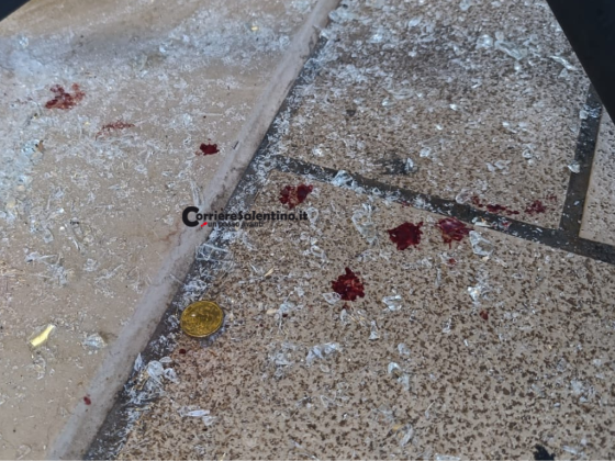 Nuova spaccata alla gelateria Martinucci di Casarano: ladro in fuga lascia tracce di sangue - Corriere Salentino