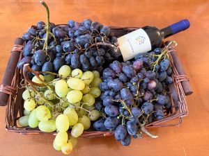 "Festa dell'uva 2025": in Provincia la presentazione della manifestazione in programma ad Aradeo - Corriere Salentino