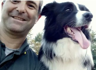 Campi salentina, il cane Marley ritrova un 64enne scomparso