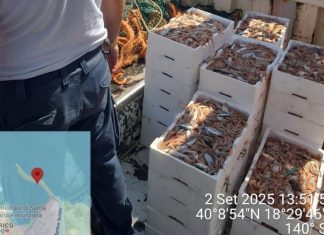 Otranto, sequestrati 280 kg di pesce e una rete a strascico illegale: sanzionato un peschereccio